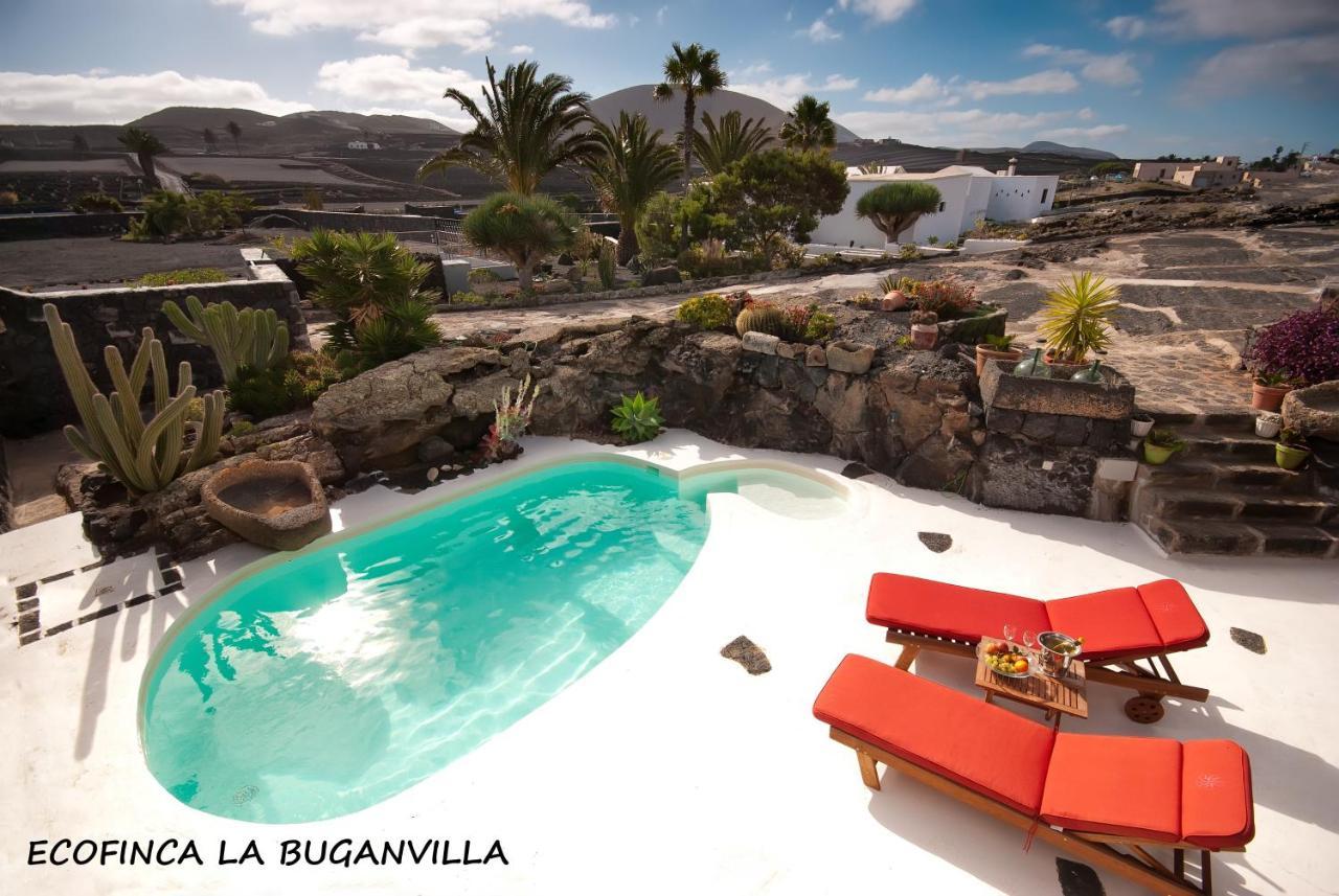 Ecofinca La Buganvilla - Adults Only * San Bartolome (Las Palmas)